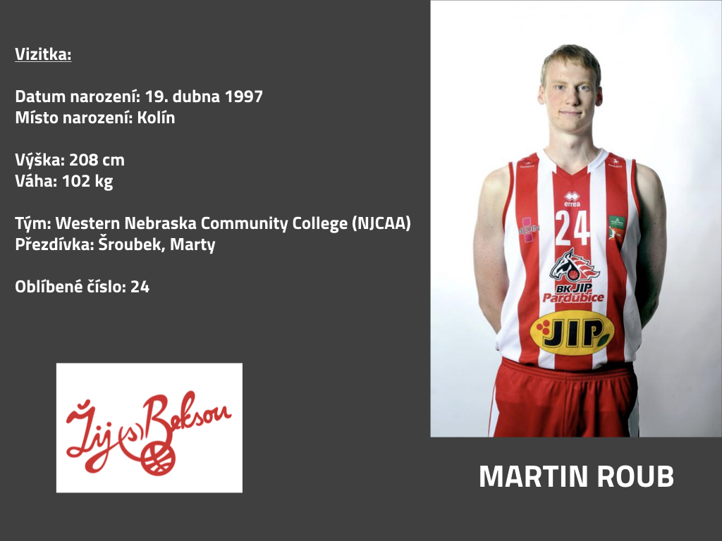 Martin Roub