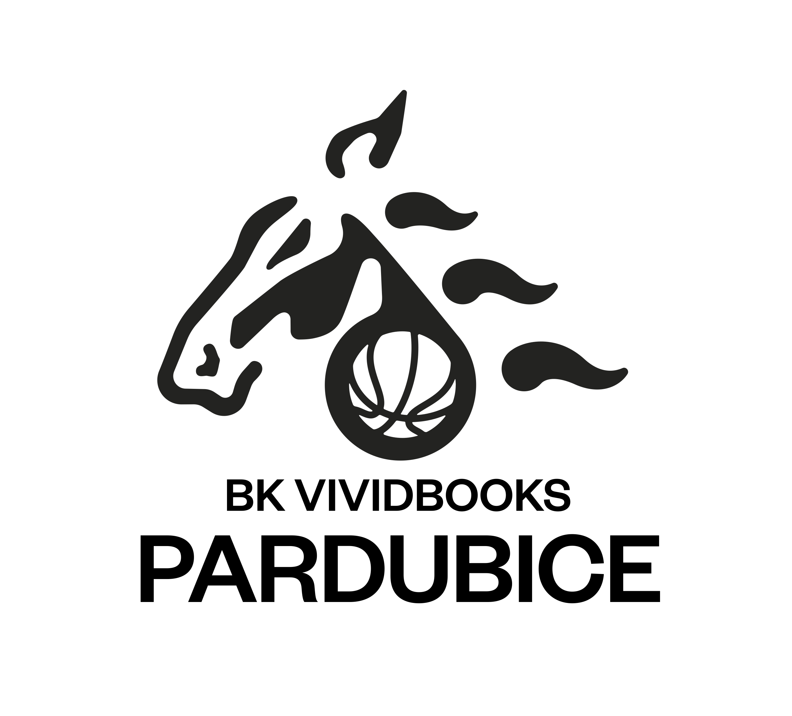 BK VIVIDBOOKS Pardubice BK VIVIDBOOKS Pardubice